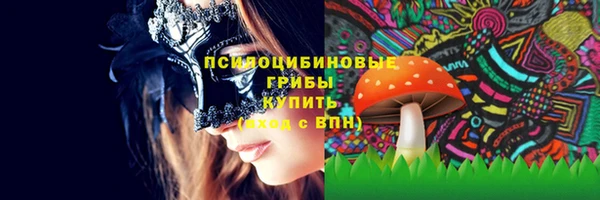 дмт Алексин