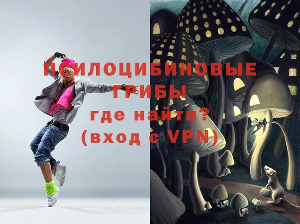 круглые Алзамай