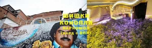 круглые Алзамай