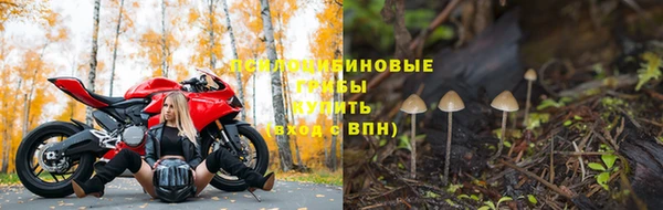 шишки Алексеевка