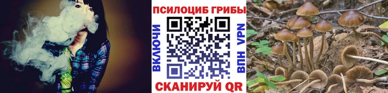 Галлюциногенные грибы MAGIC MUSHROOMS Родники